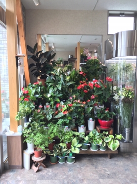 「諸井緑樹園」　（福島県南相馬市）の花屋店舗写真3